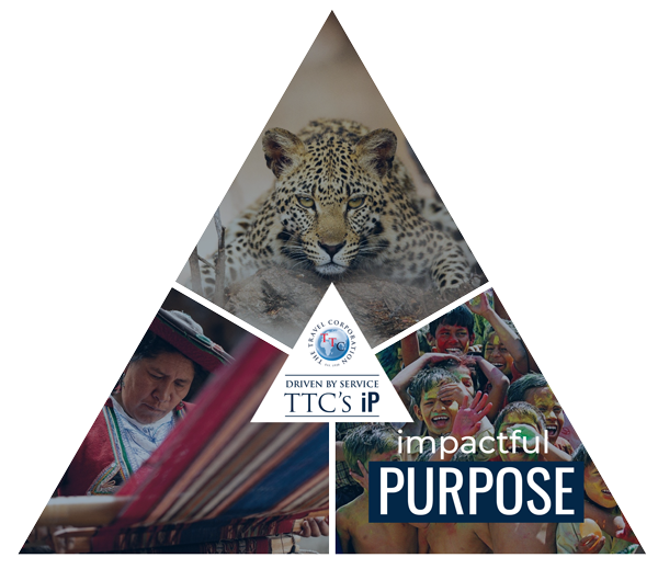 Impactful Purpose Triangle Logo